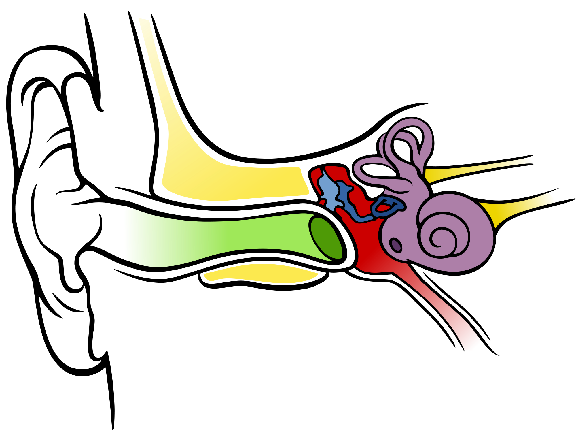 Tympanostomia (założenie drenażu wentylacyjnego uszu)